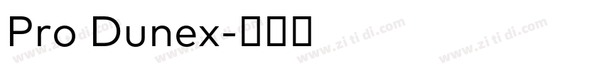 Pro Dunex字体转换